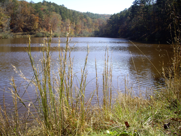 Talladega Scenic Byway Lake Morgan