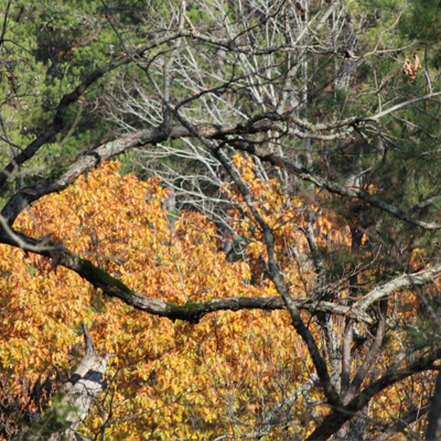 Elephant_Rock_Nature_Park_Hiking_Oklahoma