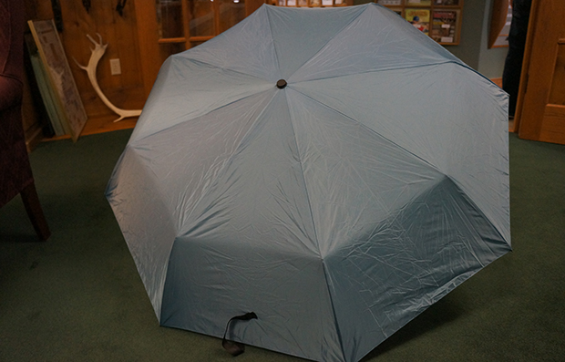 Innate Carmanah Travel Umbrella