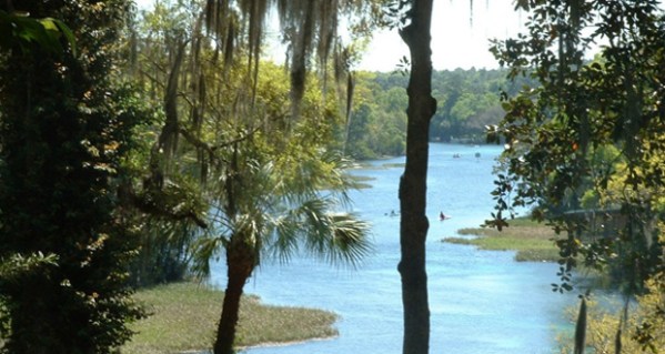 Camping Rainbow Springs State Park Florida