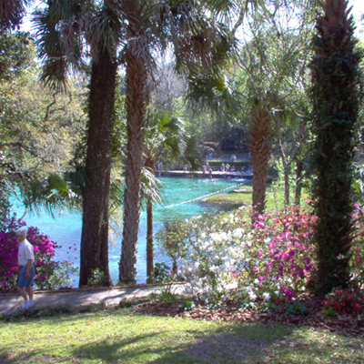 Camping Rainbow Springs State Park Florida