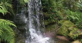 Rainbow Springs State Park Waterfall