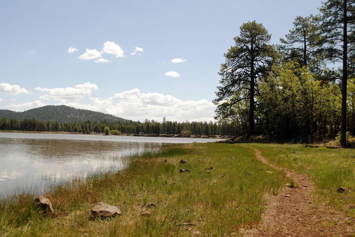 Dogtown Lake Campground