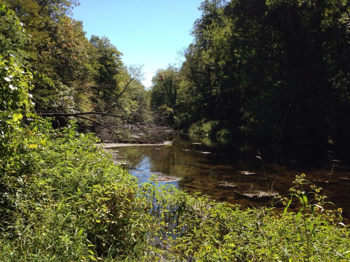 Stephens State Park