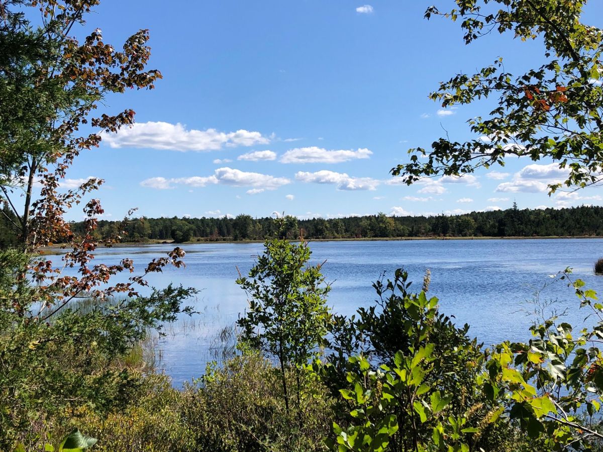 Brendan T. Byrne State Forest