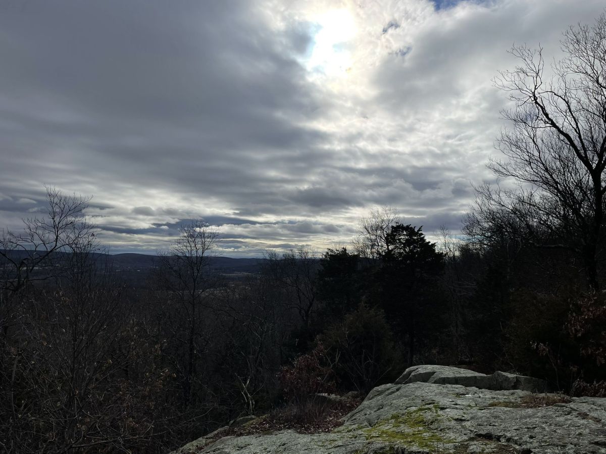 Jenny Jump State Forest