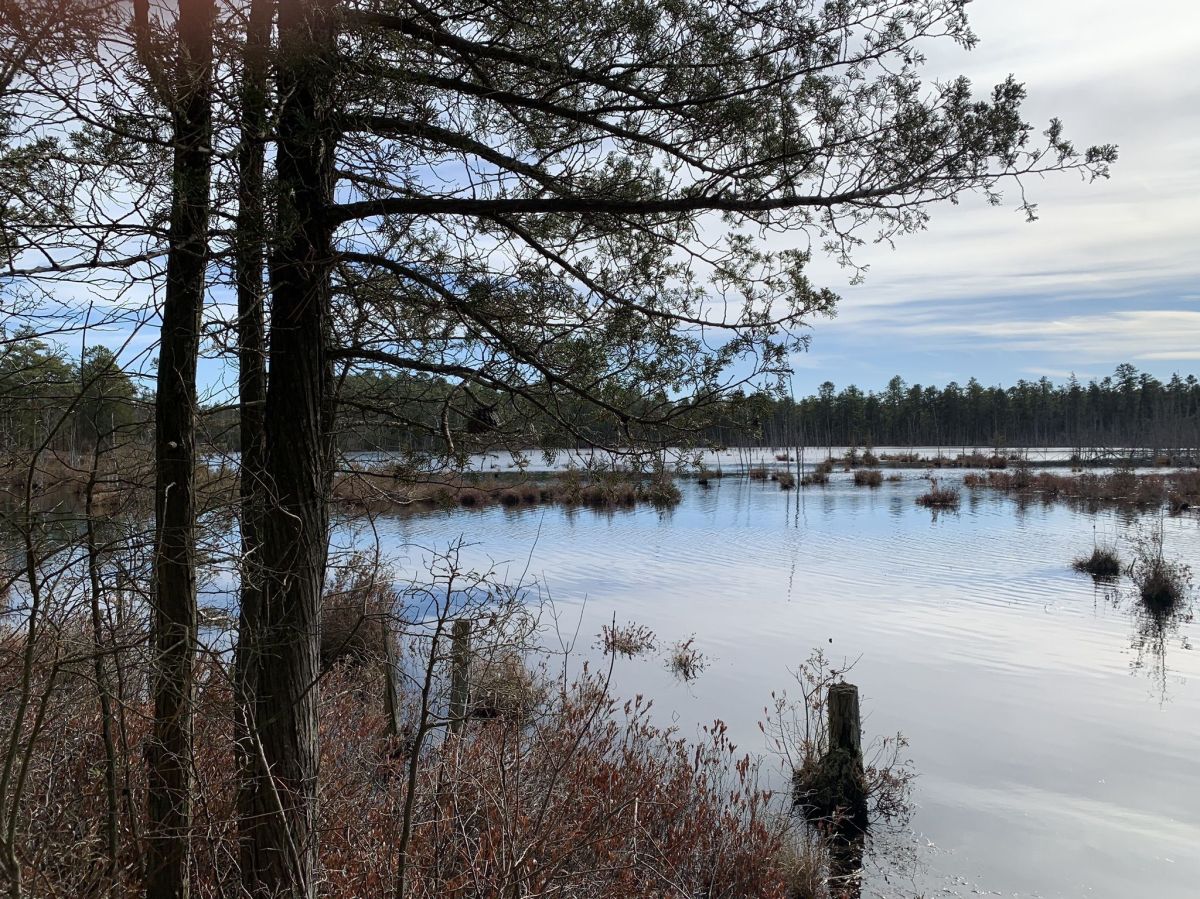 Goshen Pond Camping Area