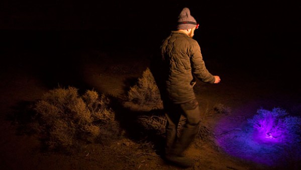 Seeking Scorpions in the desert not far from Las Vegas.