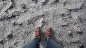 In Death Valley's Badwater Basin every inch is covered in salt. You bring your own water.