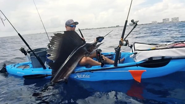 Yakin for sailfish