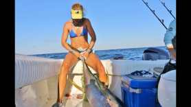 tuna fishing