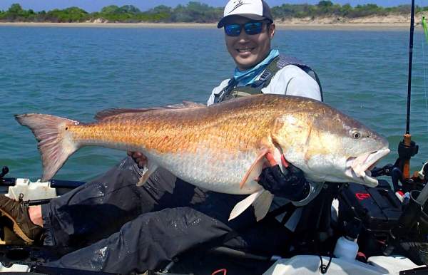 red drum