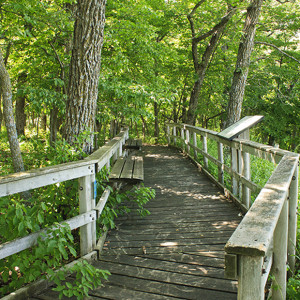 Kilen Woods State Park in Minnesota