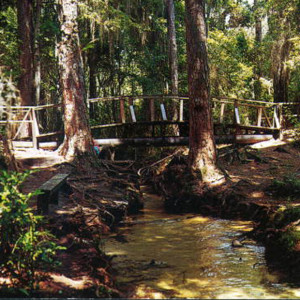 Mike Roess Gold Head Branch State Park in Florida