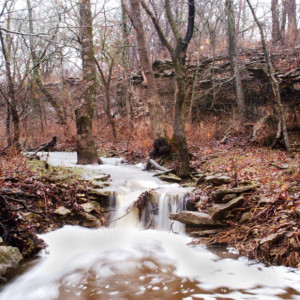 Cross Timbers State Park in Kansas