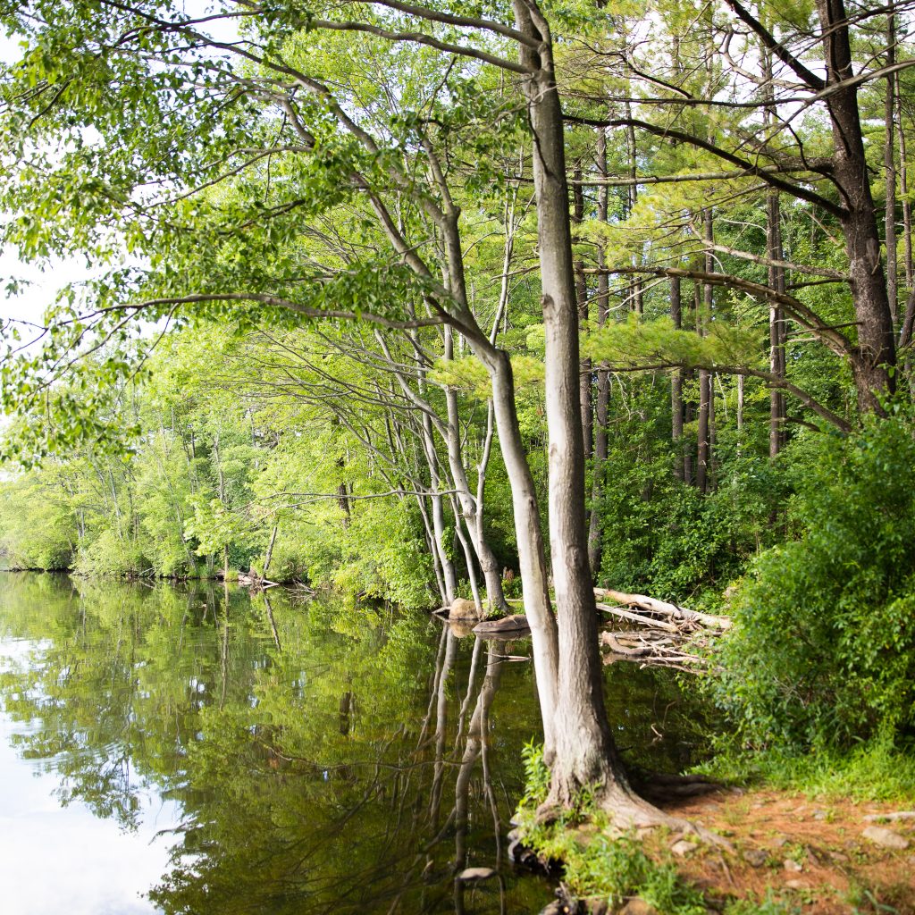 Franklin Lakes Nature Preserve