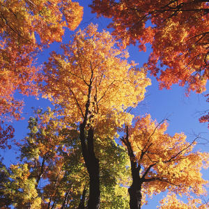 Green Mountain Byway, Vermont