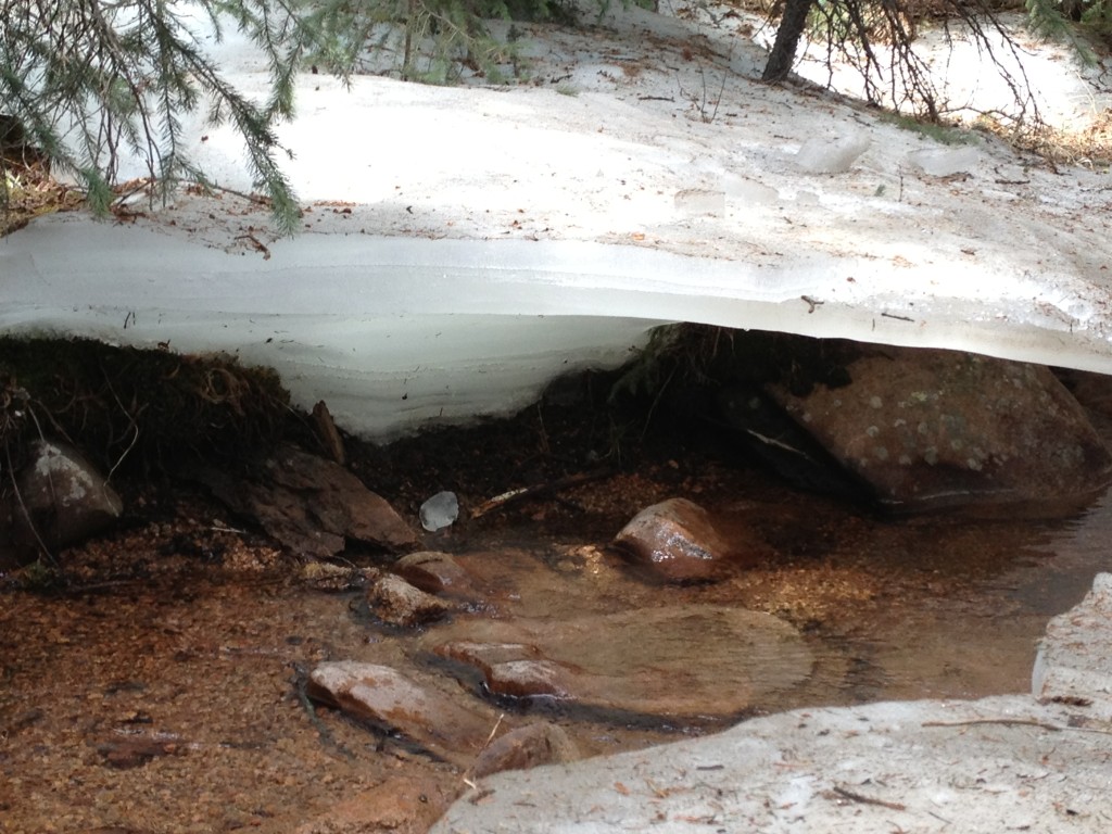 Hiking by Mueller State Park