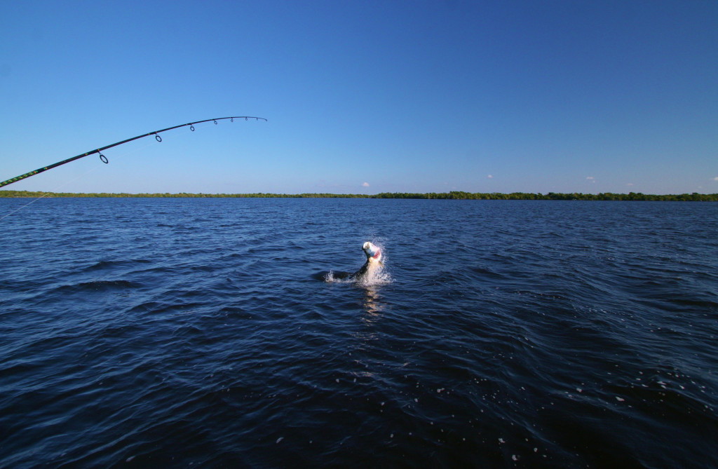 camping in the coastal everglades