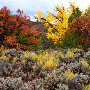 Enchanted Circle Scenic Byway, New Mexico