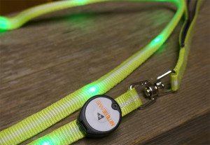 nite beams led pet leash