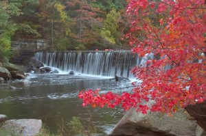 Fall Foliage