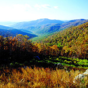 Shenandoah National Park, Virginia