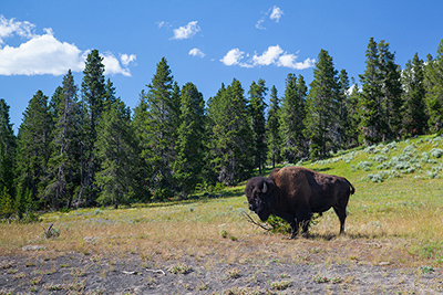 National Parks