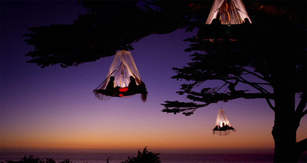 hanging_tree_tents123456789abc