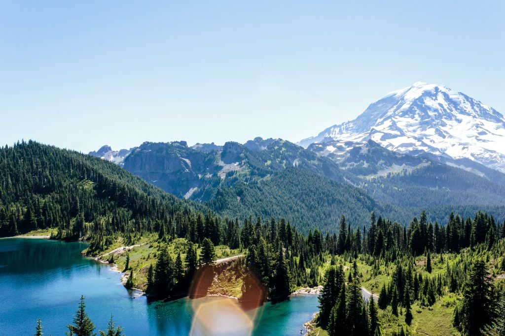 mount ranier national park