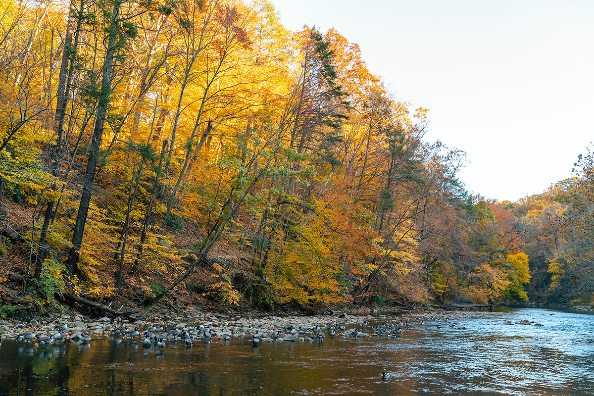 best-campgrounds-in-america-fly-fishing