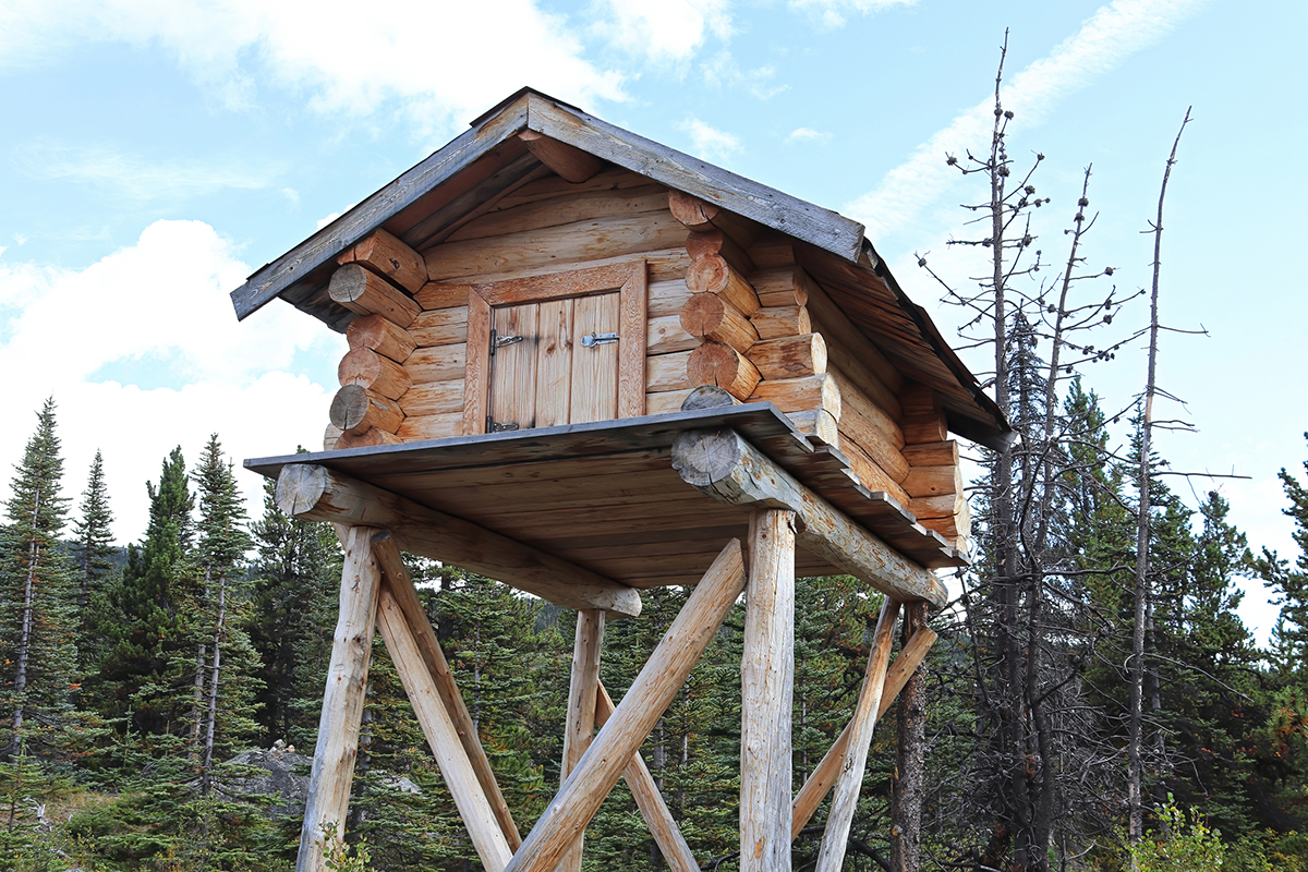 how-bear-grylls-keeps-his-food-safe-from-bears