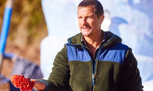 i-survived-bear-grylls