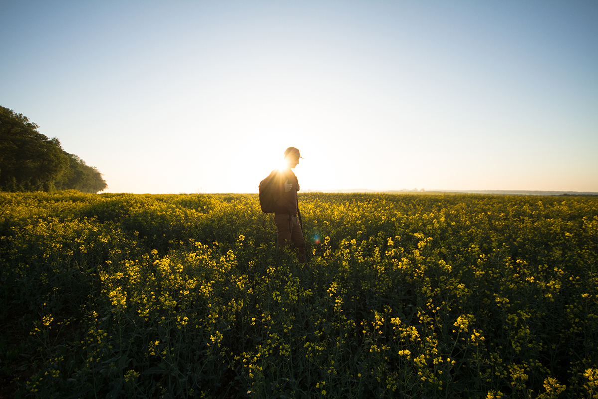 weird-walks-turn-morning-adventure-walks-into-adventure