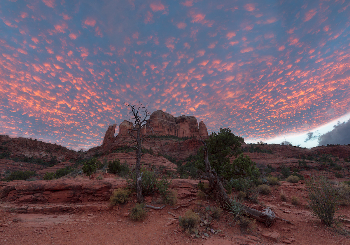 Red Cassock Of Cathedral Rock