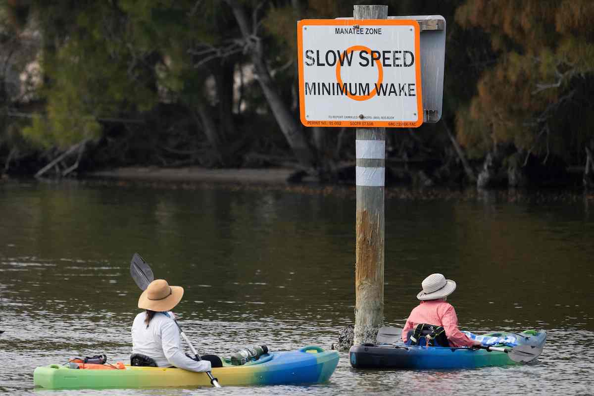 Manatee zone