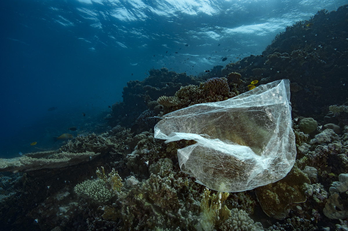 Marine plastic pollution