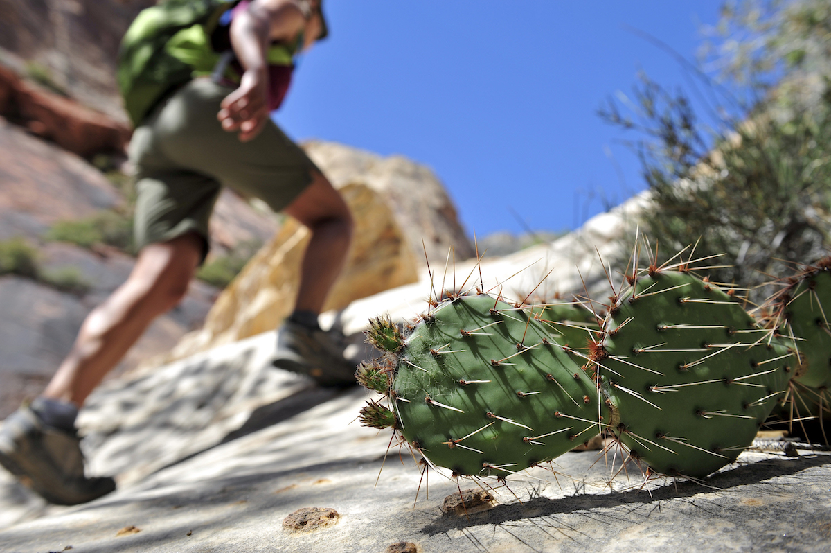 Red Rock, hiking near las vegas