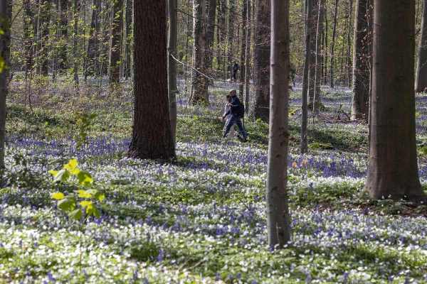 Walking in nature