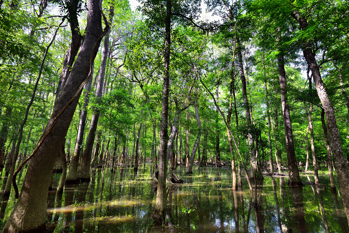 us-national-parks-canoe-trip