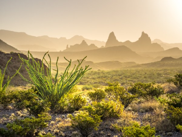 big bend national park