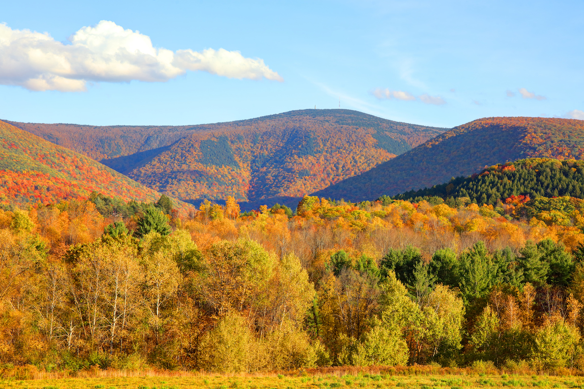 Fall Foliage on Mount Greylock