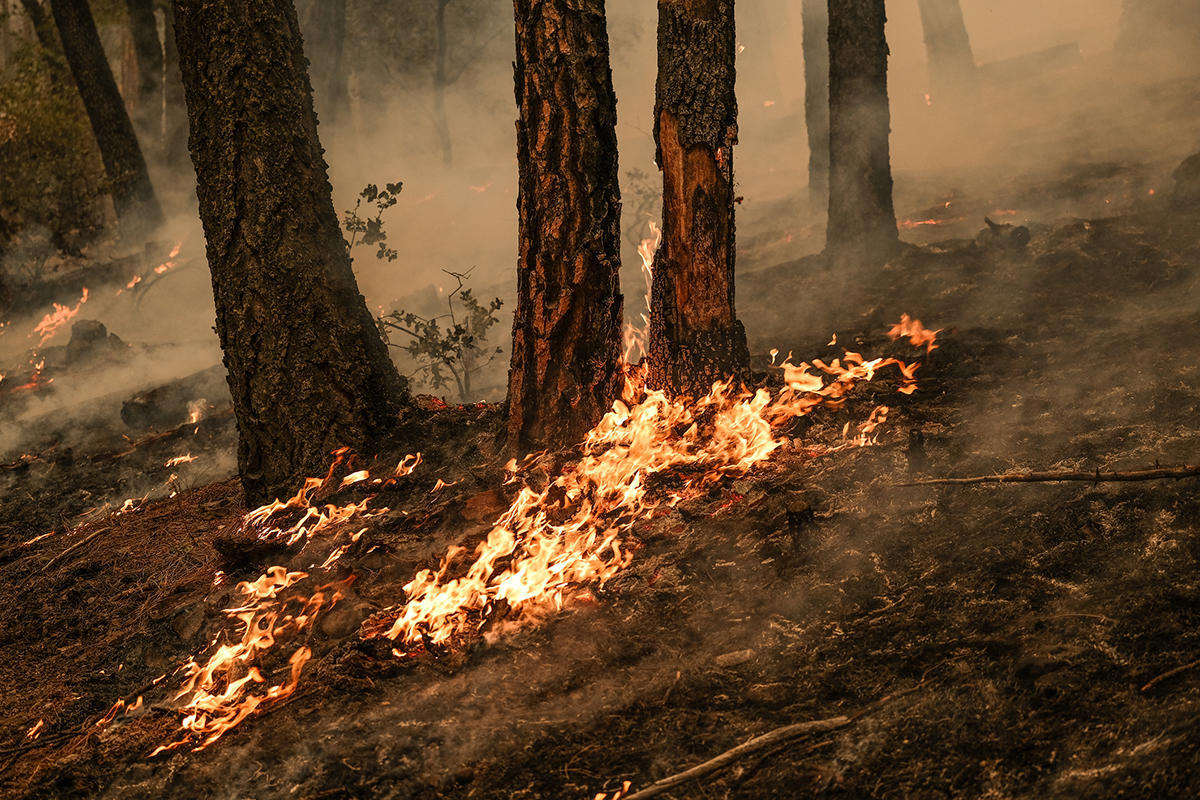 stay-safe-near-prescribed-burns