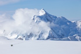 denali national park