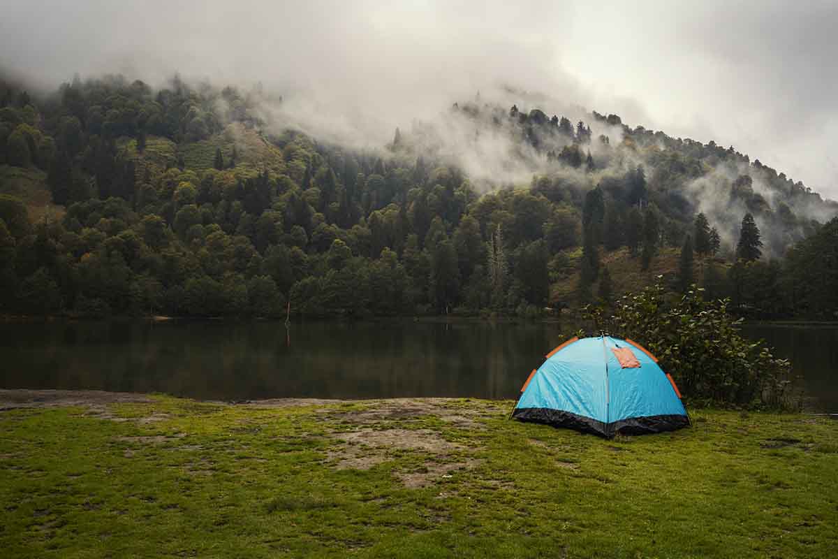 bears-advice-to-young-scouts-at-world-scout-jamboree