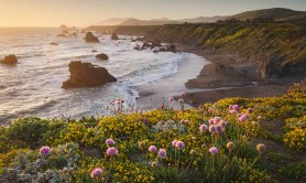 californias-biggest-waves-doubling-from-climate-change