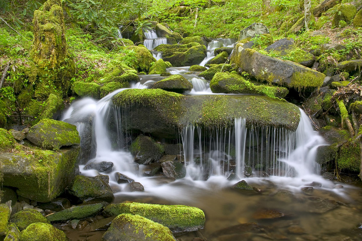 facts-about-great-smoky-mountains