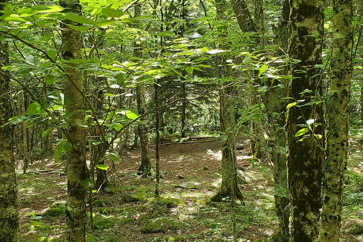 most-epic-stops-along-appalachian-trail