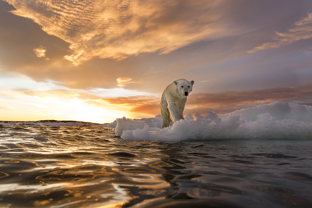 quiz-do-you-have-climate-anxiety