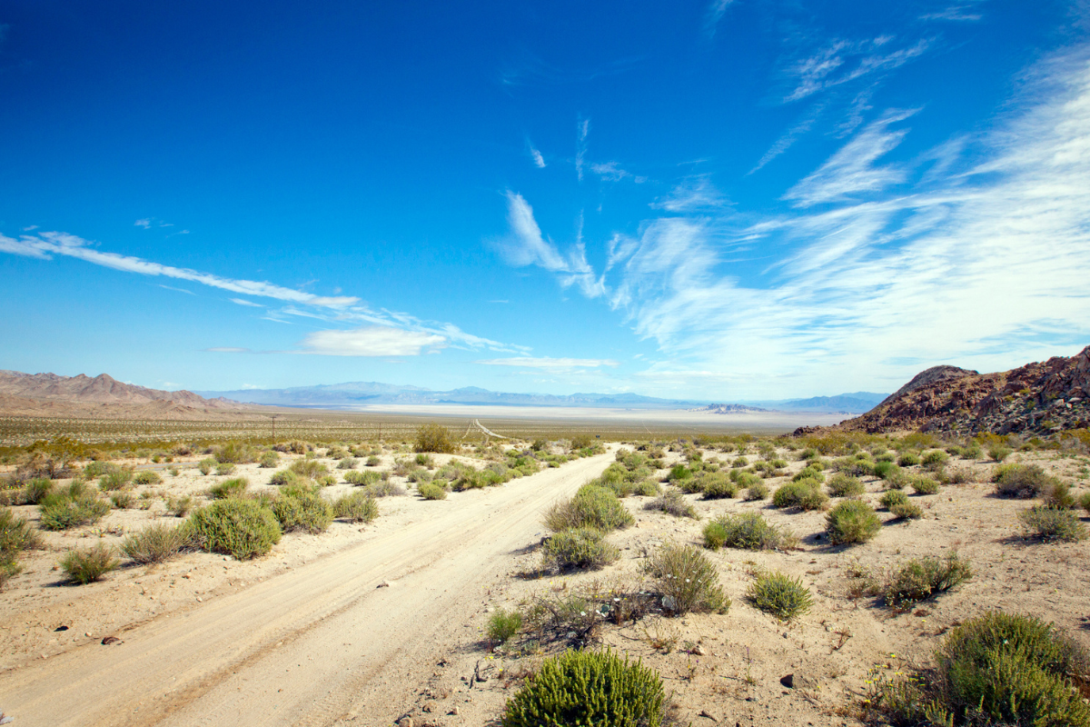 mojave desert